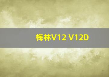 梅林V12 V12D